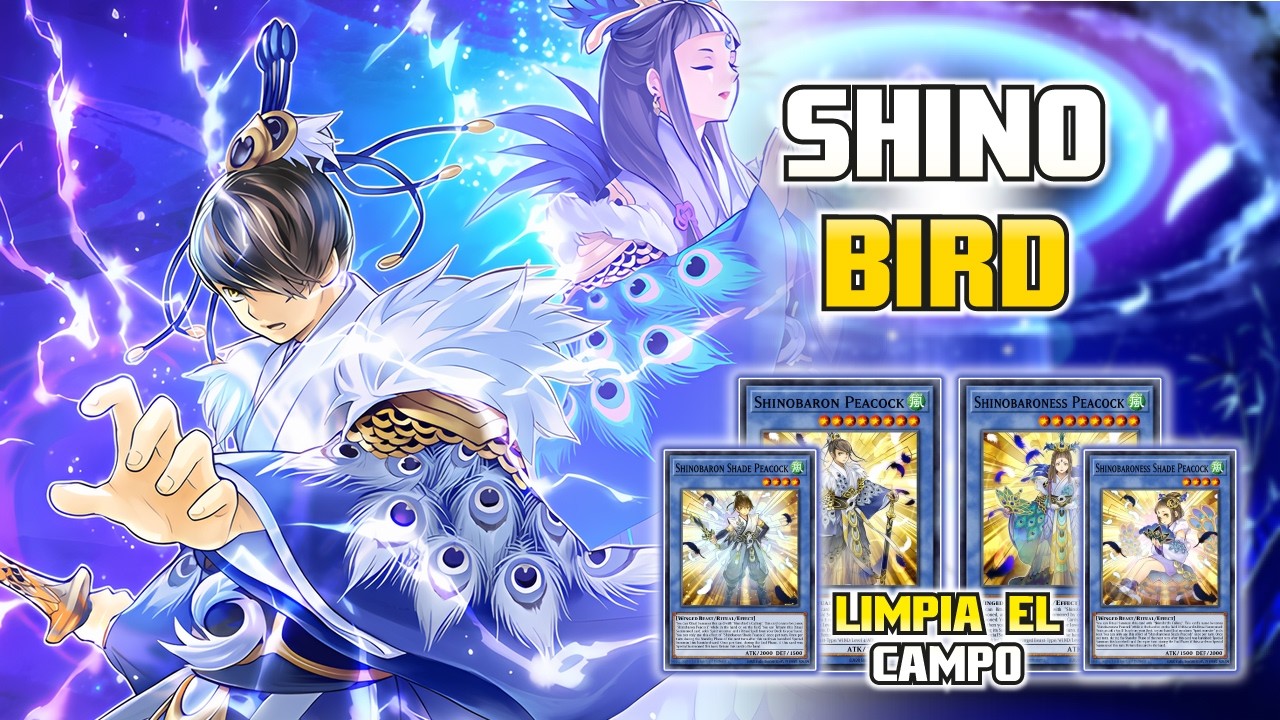 Shinobird 🦚 | ¿Por qué es Tier 1? Te lo explico todo | Guía Duel Links