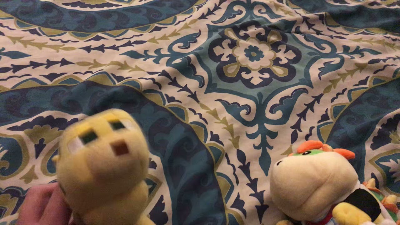 Bowser Junior and Ocelot watches the Disney DVD logo