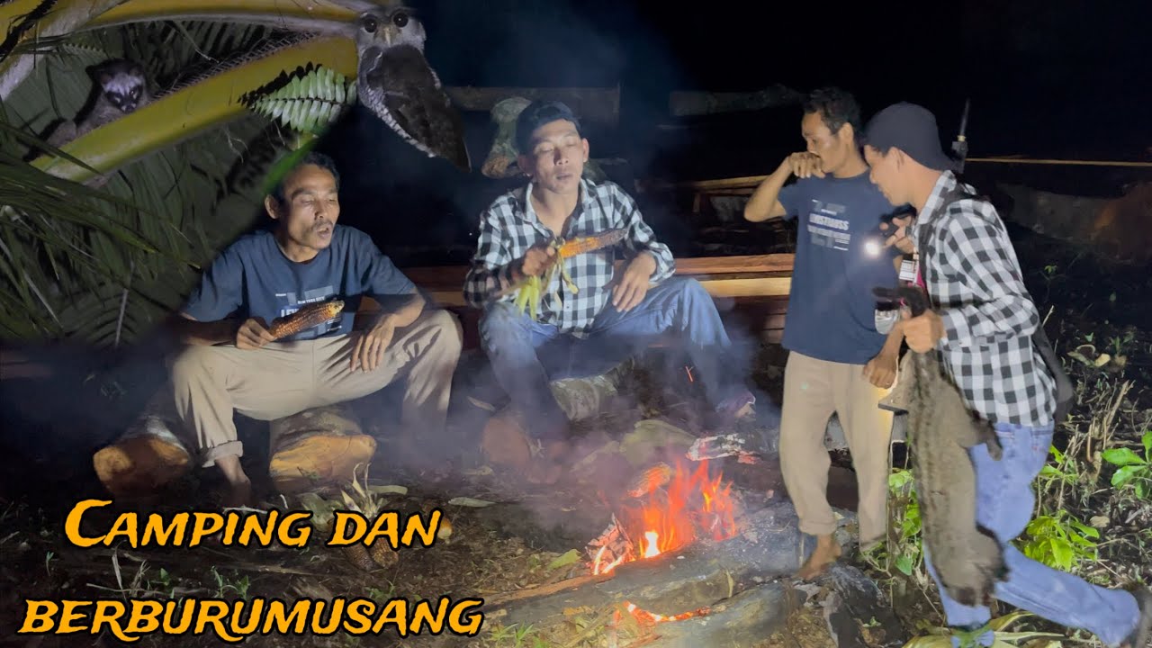 Berburu musang tengah malam yg sunyi suara yg sangat seram menghampiri kami