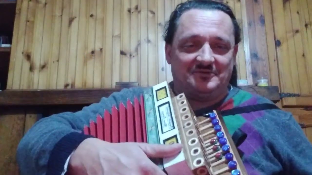 Una mia composizione. TARANTELLA PICCANTE. Organetto di nome VAMPURO in FA DIESIS FLAUTATO.