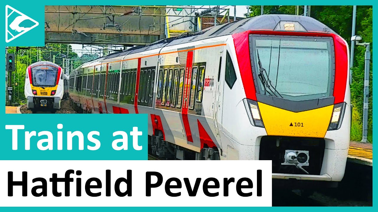 Trains at Hatfield Peverel (GEML) 13/08/2021