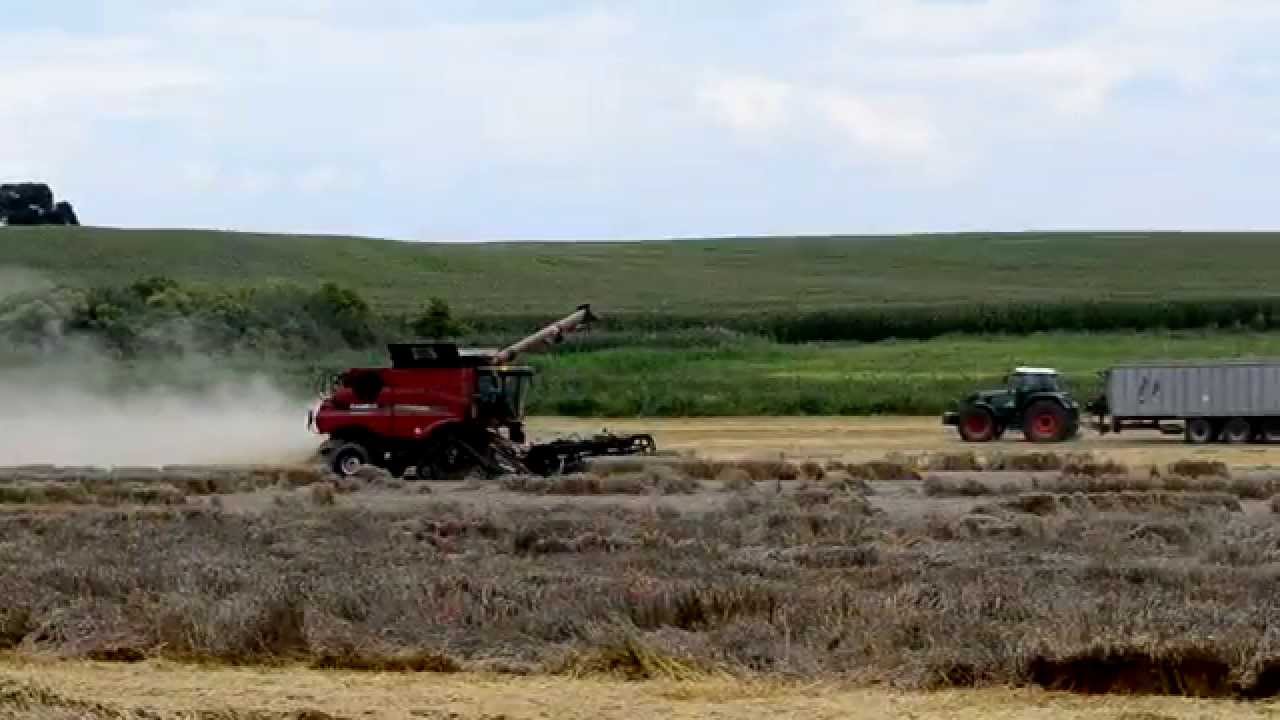 Žně 2014 - Case IH 9230 Trac + MacDon 10,7 m