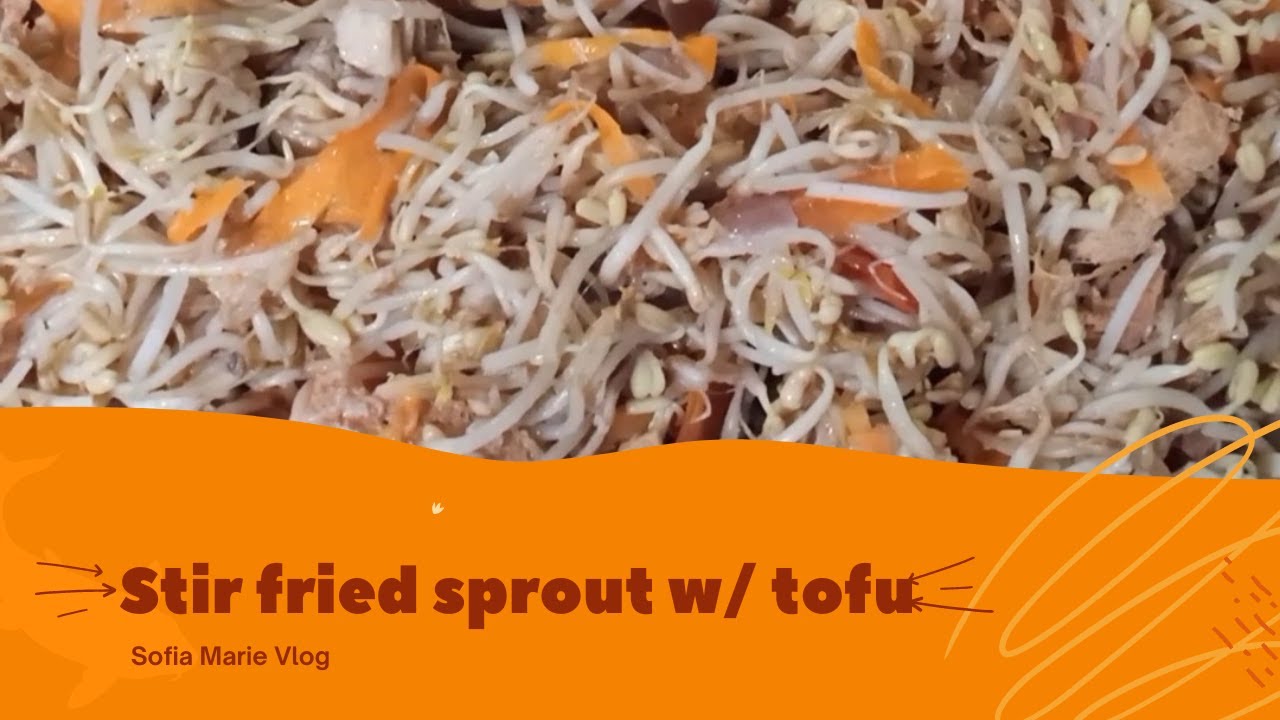 STIR FRY SPROUTS WITH TOFU//SOFIA MARIE VLOG