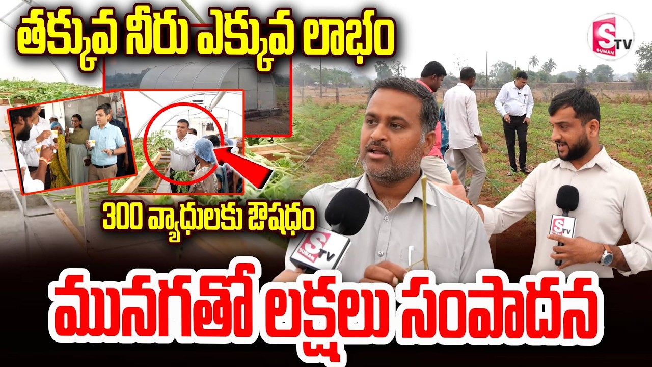 మునగతో లక్షలు సంపాదన | తక్కువ నీరు… ఎక్కువ లాభం | ఇలా చేస్తే రైతు జీవితమే మారుతుంది | Farmer Success