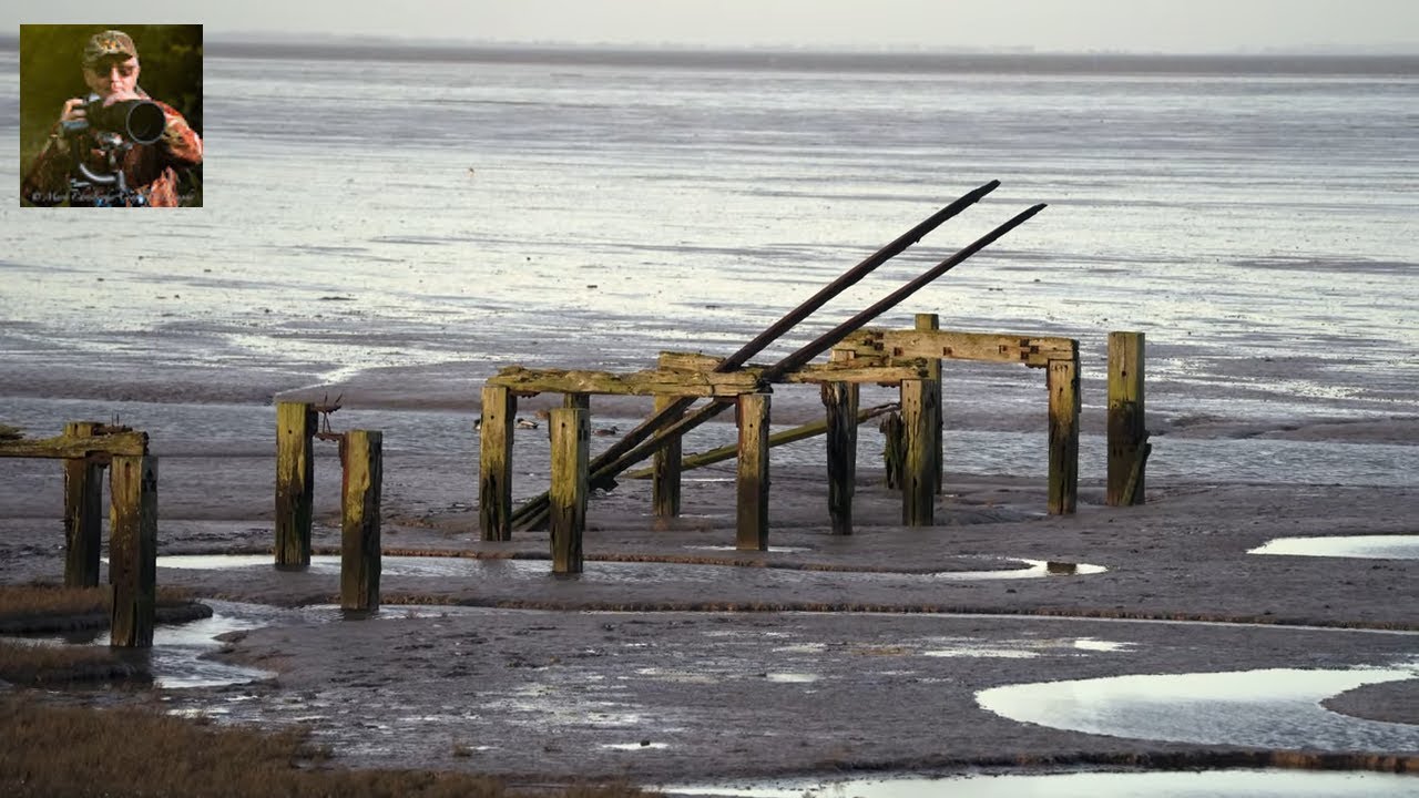 Snettisham RSPB by 