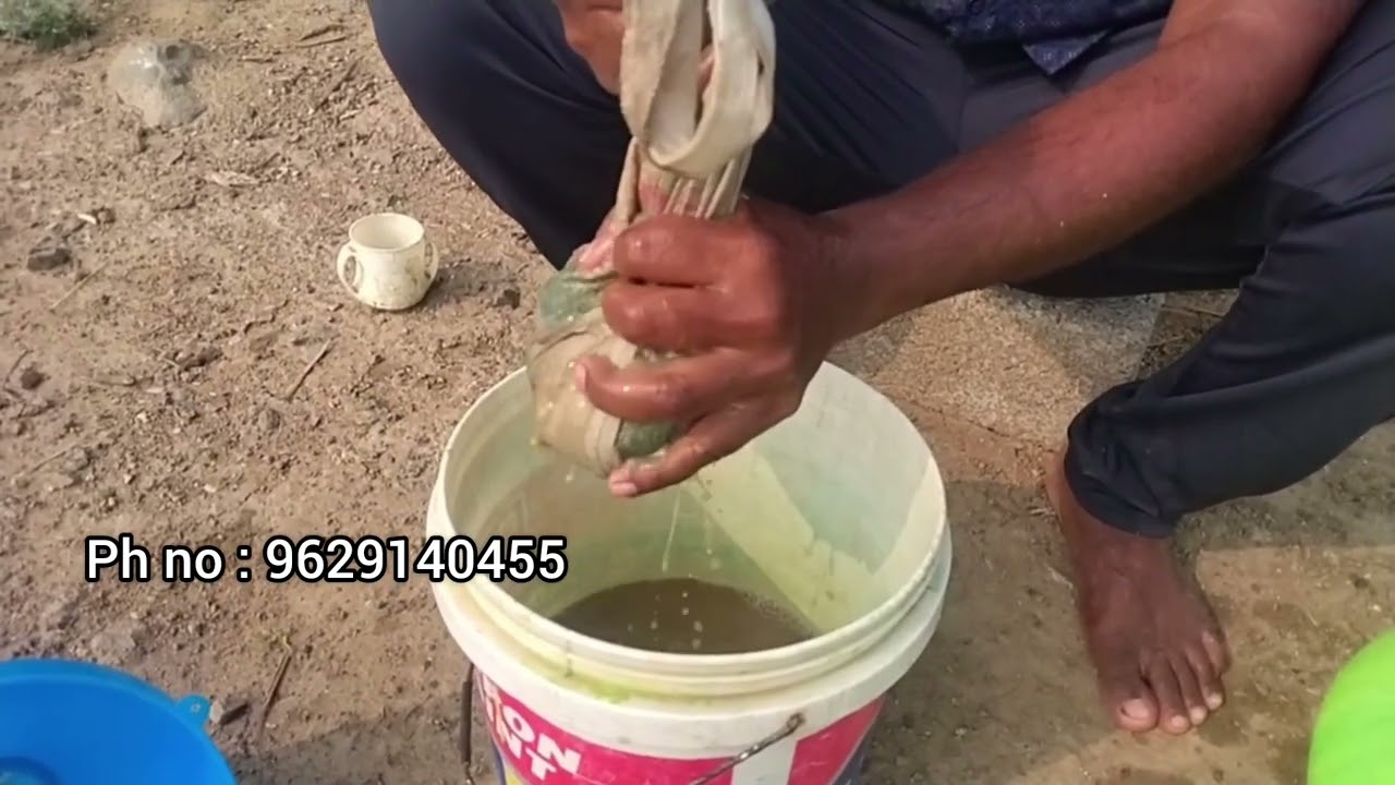 பஞ்சகவ்யம் ph no: 9629140455