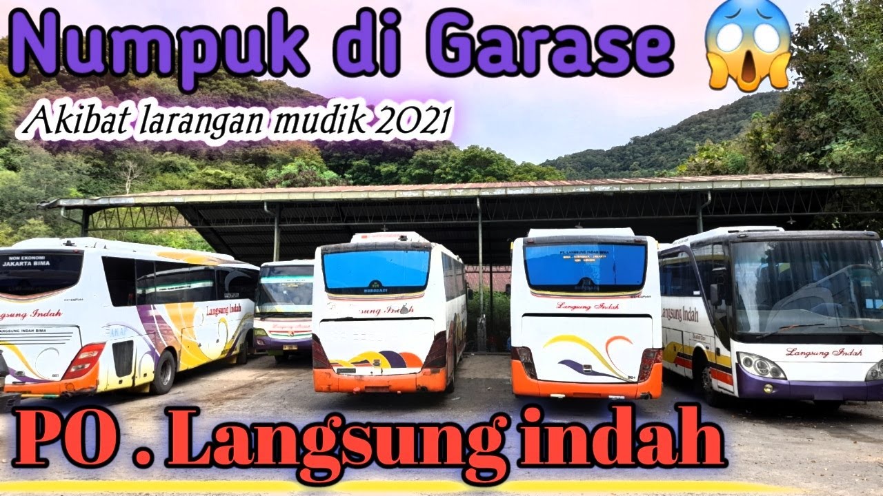 Grebek Garase PO.Langsung Indah  || Bus numpuk di garase, akibat Larangan mudik2021