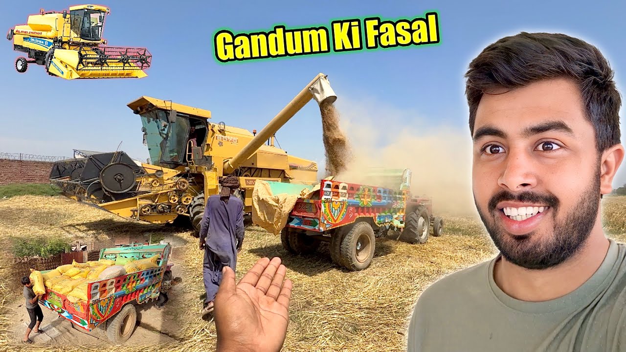 Hamari Gandum Ki Fasal Ghar Aa Gayi 😍 Machine ke Sath Katai Karwai ⚡️ 