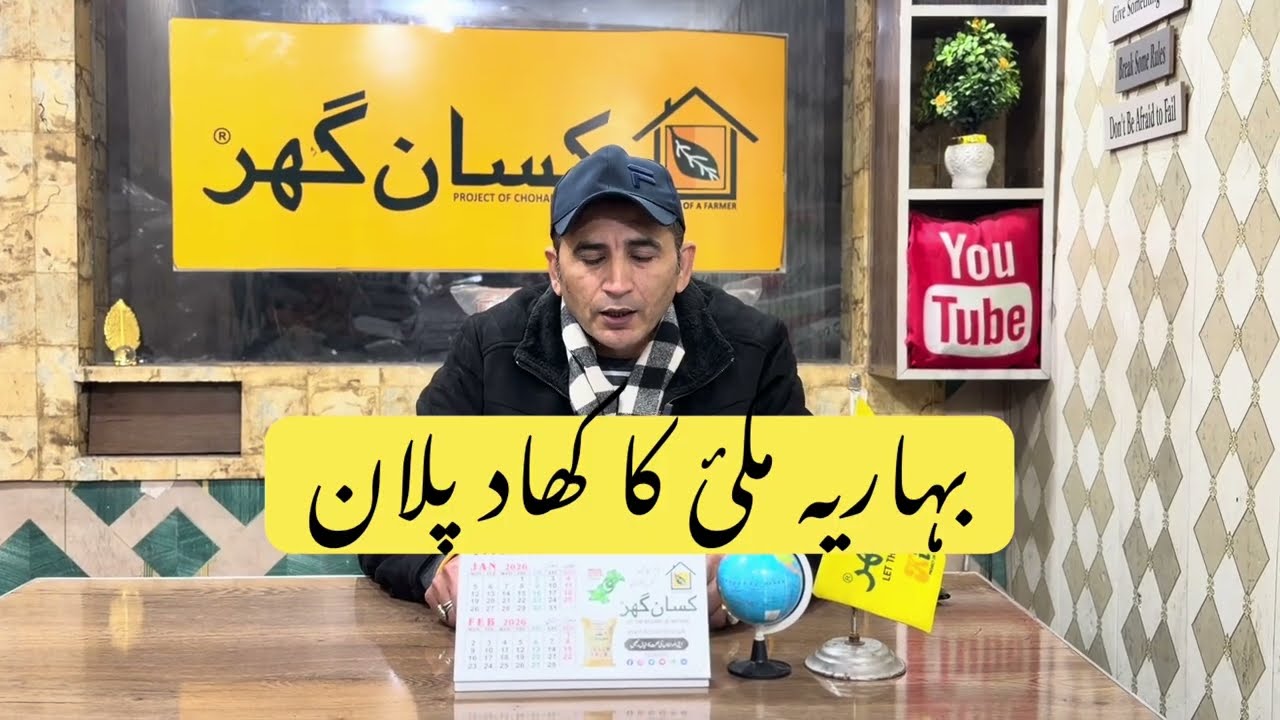 Spring Corn/Maize Crop Full detailed Fertilizer Plan for this season for high yield | Kissan Ghar