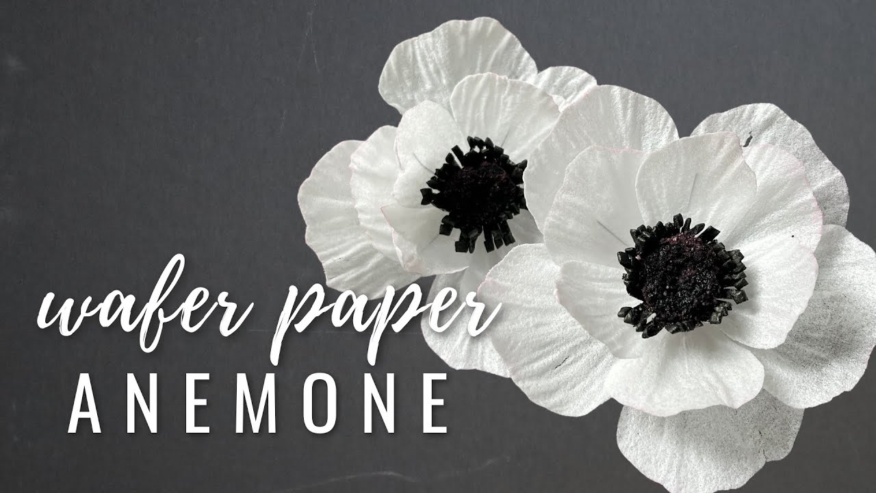 How To Make Wafer Paper Anemone (flexible wafer paper tutorial)