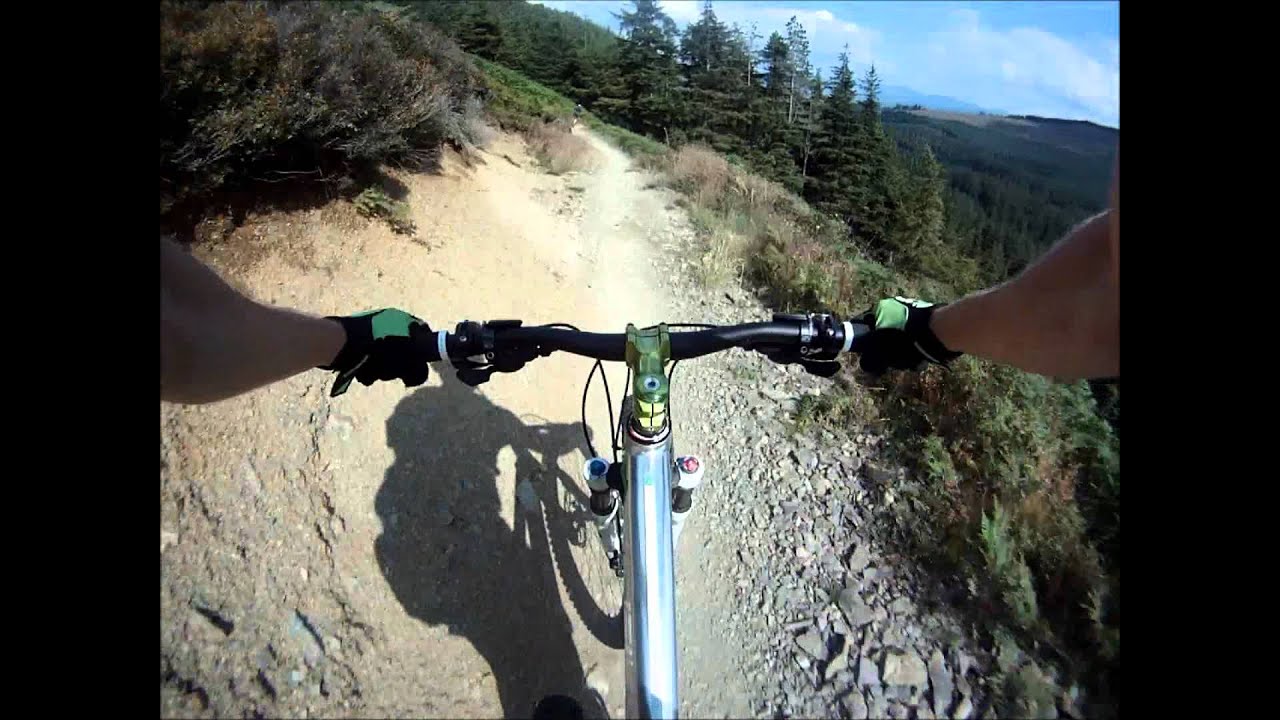 Whinlatter North Loop