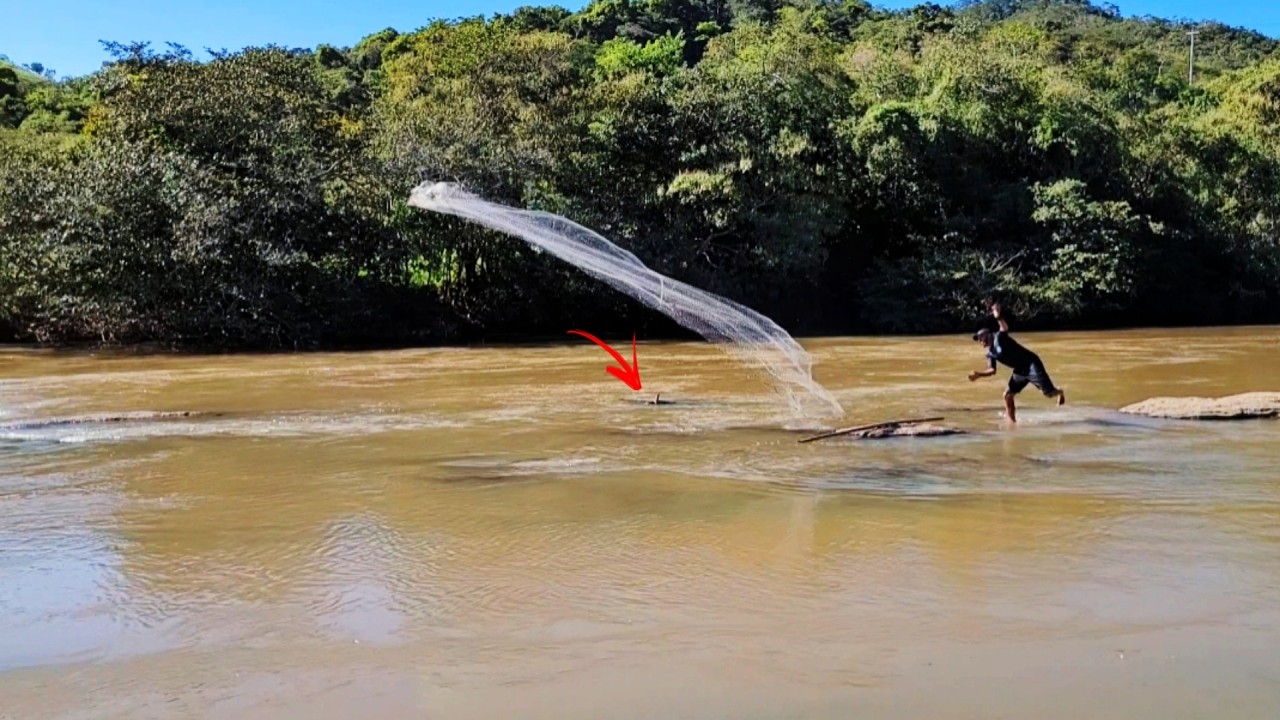 Encontramos o paraíso dos curimbão gigantes... peixe frito nesse paraíso 🔥