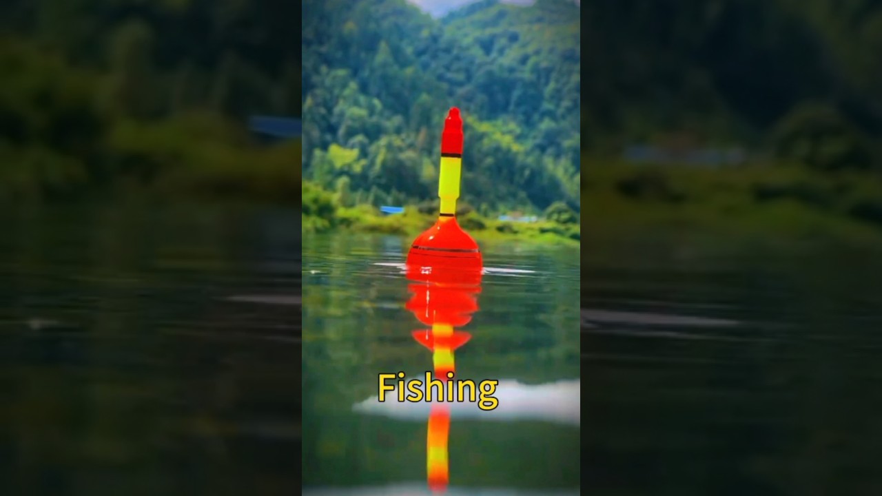 new fishing video 2023 🌿🎣 | fishing tips #shorts #fishing #funny  #मच्छर