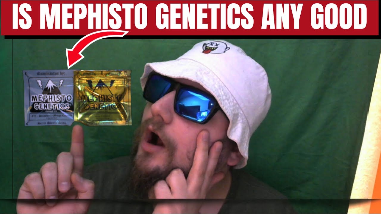 Is Mephisto Genetics Any Good?
