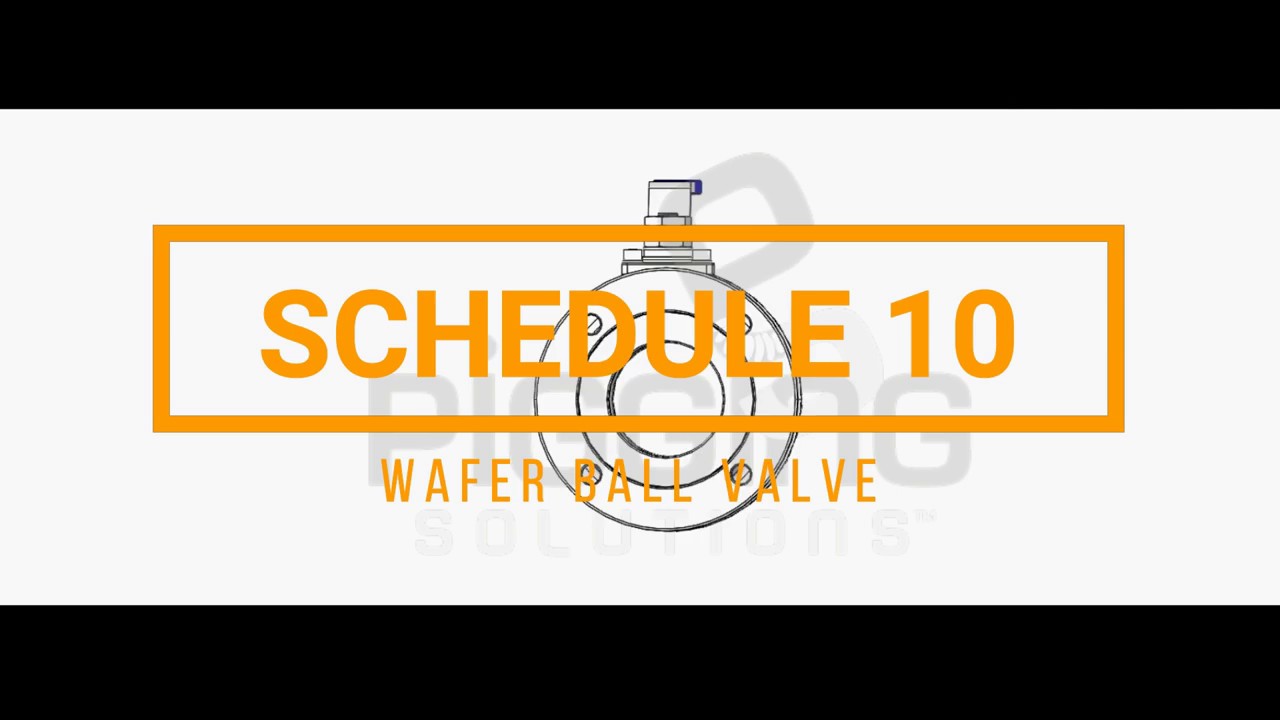 Pigging Solutions Schedule 10 Wafer Ball Valve Demo