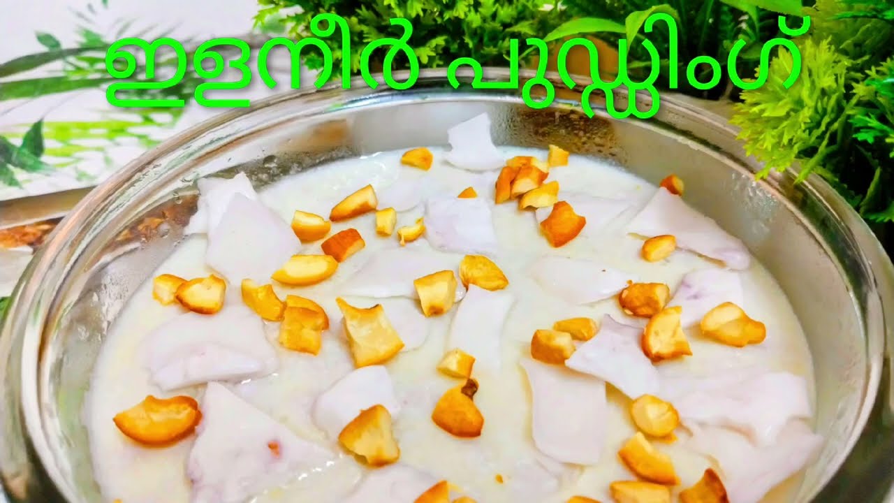 ഇളനീർ പുഡ്ഡിംഗ് |Elaneer Pudding|Tender Coconut Pudding Malayalam|@VineethaThalassery