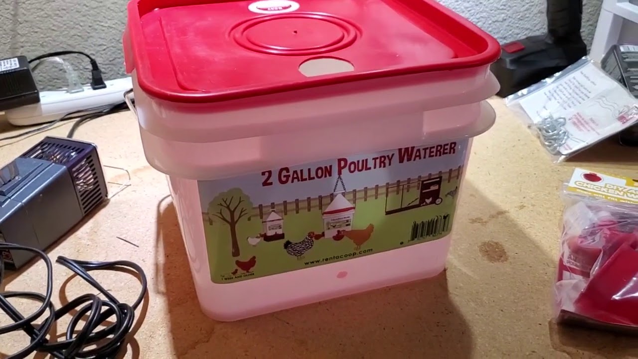 Overview Of Rent A Coop 2 Gallon Poultry Waterer