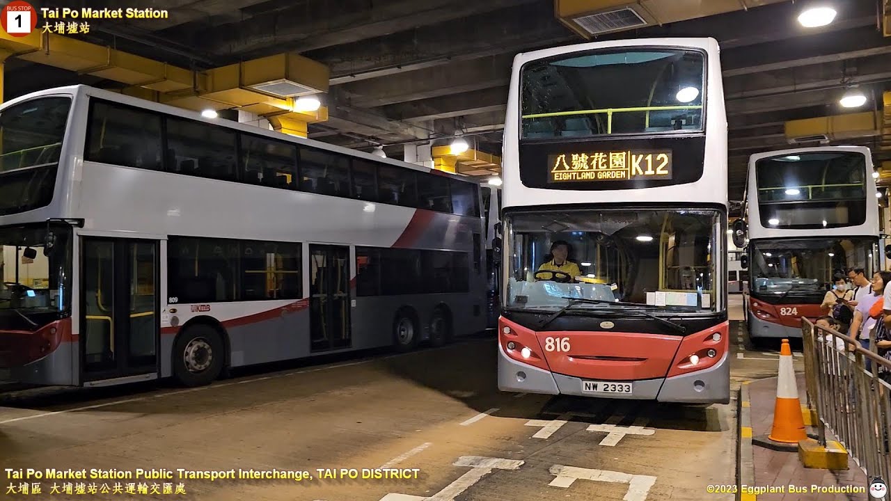 【暴雨下大埔恩物】🇭🇰Hong Kong Bus MTR K12 #816 @NW2333 Tai Po Market Station🍆Eightland Gardens 大埔墟站🍆八號花園