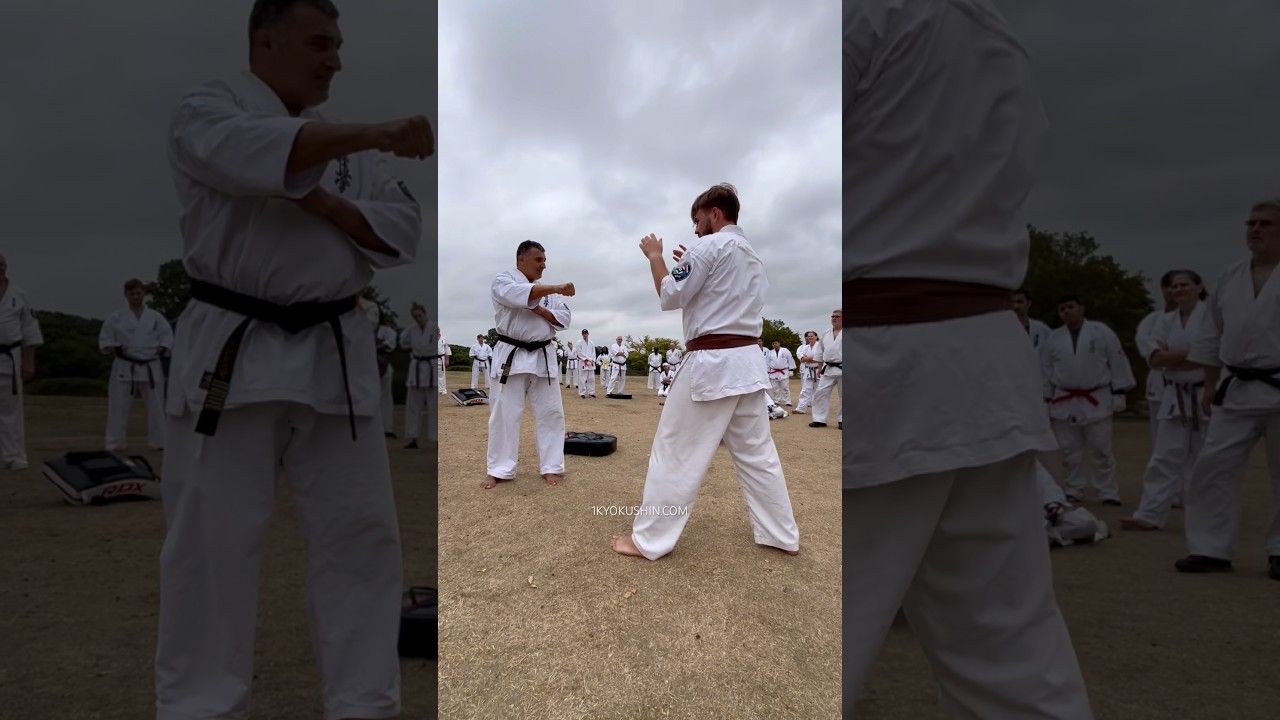 Летний лагерь BKG Kyokushin 2025 #kyokushin #shinkyokushin #karate #1kyokushin #Ichikyokushin #Ky...