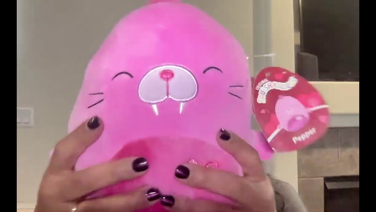 Add Cuteness to Your Squad with Squishmallows 8
