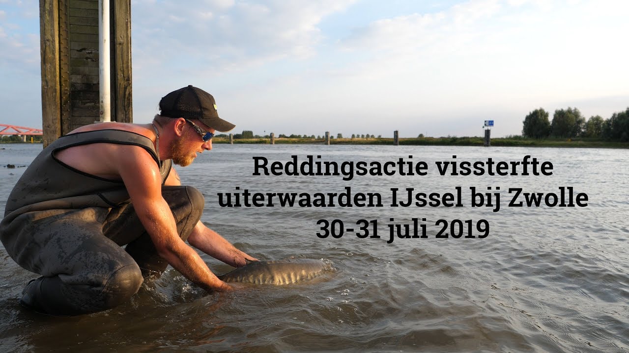 Vissterfte uiterwaarden Engelse werk