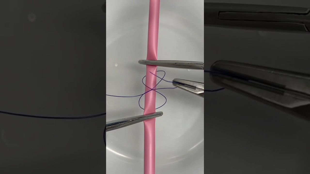 Nudo Constrictor Quir&uacute;rgico 🐍 #datoscuriosos #suturas #cirug&iacute;a #veterinaria #medicamento #cirujana