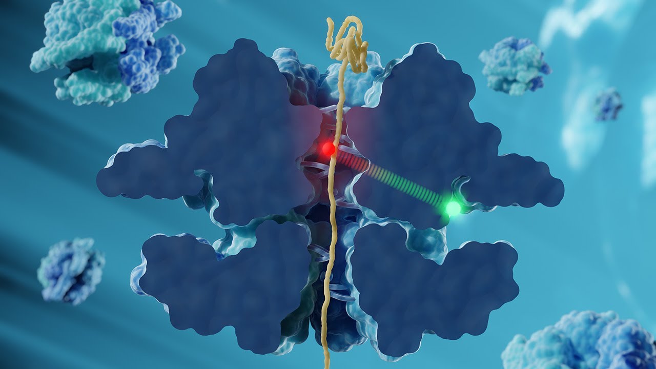 Tracking Protein Translocation with Single-Molecule FRET - Gilad Haran Project