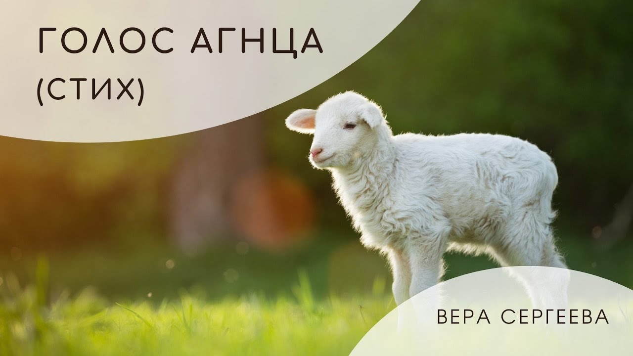 2024.05.25 &ndash; Голос Агнца