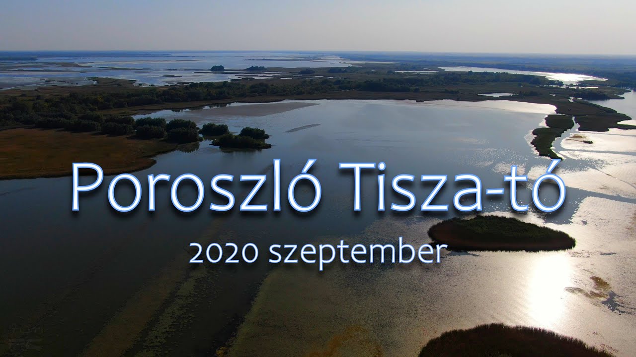 Tisza-tó / Poroszló 2020 Szeptember /  DJI Mavic 2 Zoom 4K