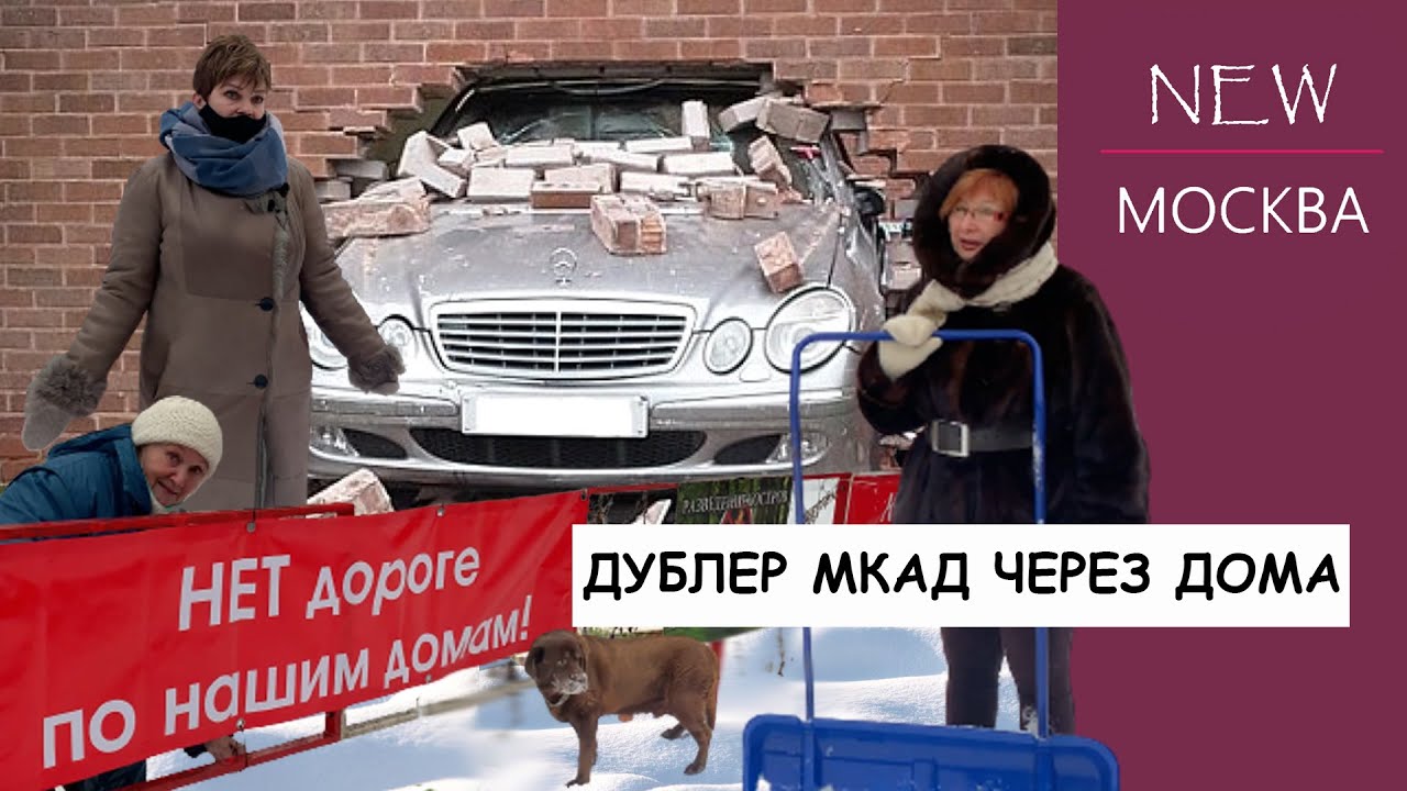 Подмосковье под снос: драма садового товарищества «Победа»