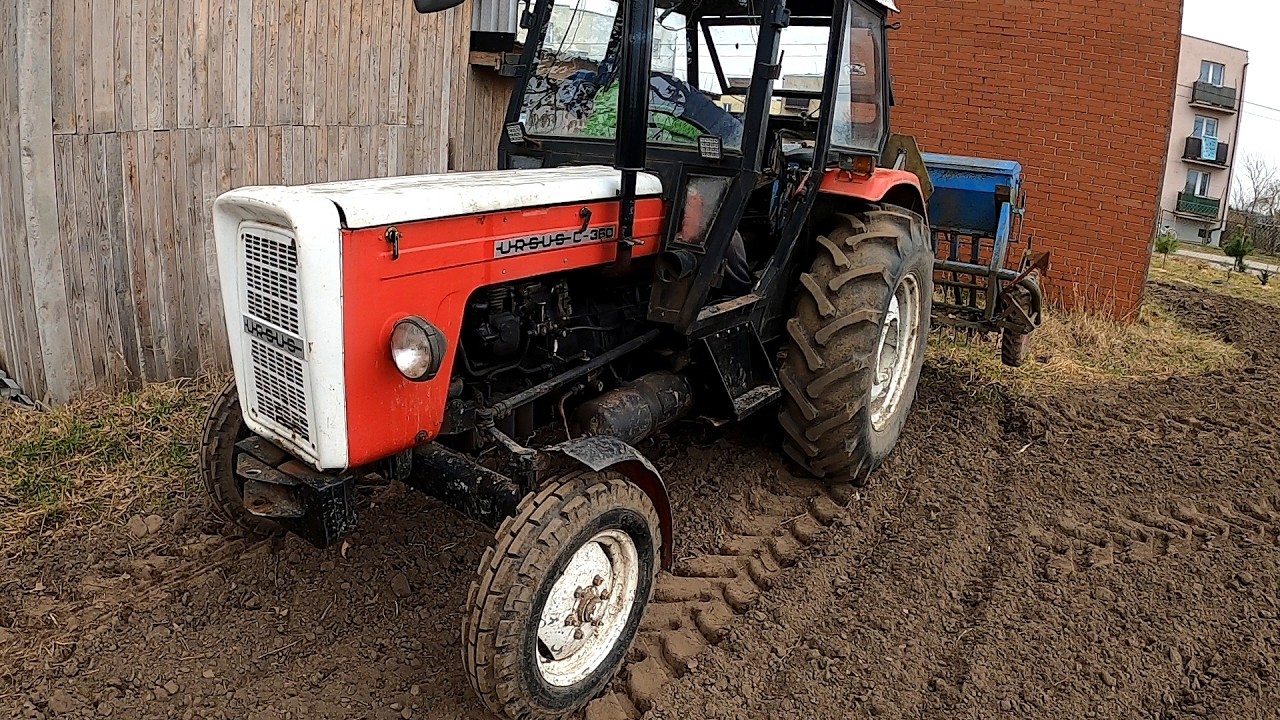 Udało się posiać groch jeszcze zimą Ursus C-360 Kwalifikat Ławrenowicz