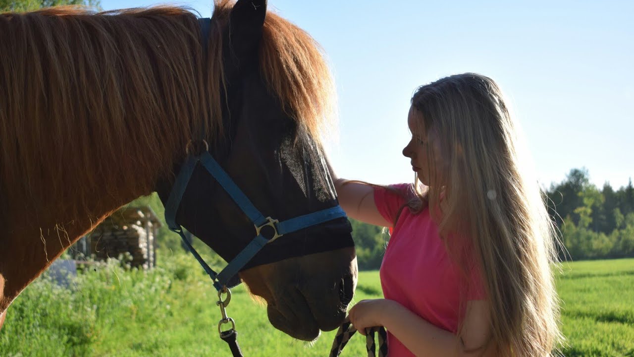Velmeri   ||   1 year together
