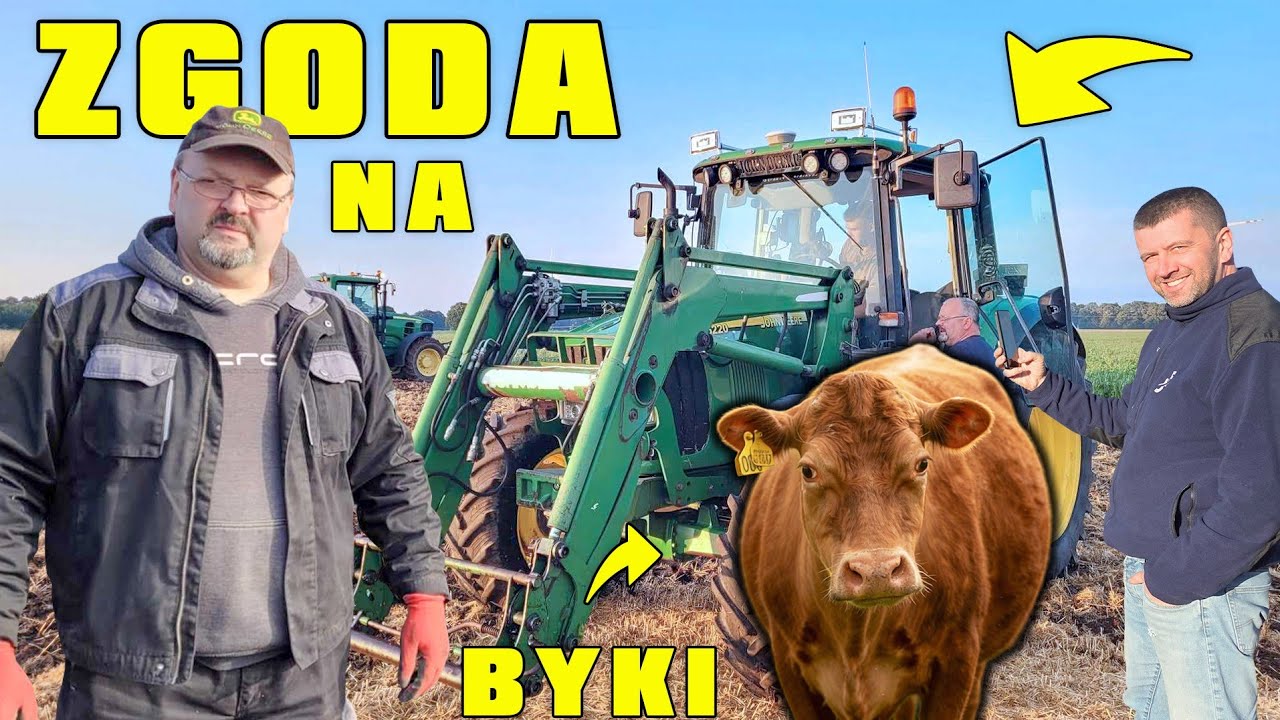 MAREK ZGADZA SIĘ NA HODOWLĘ BYK&Oacute;W - SIEW NA NOWYCH POLACH - PSZCZELARZ