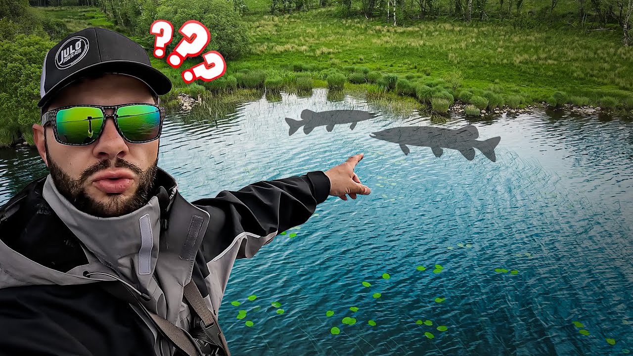 Je viens au pays du BROCHET pour pêcher comme çà ?? (Je peux pas m'empêcher...)