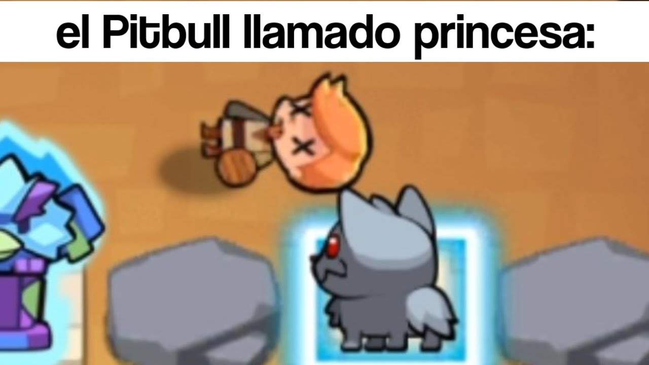 El perro llamado princesa