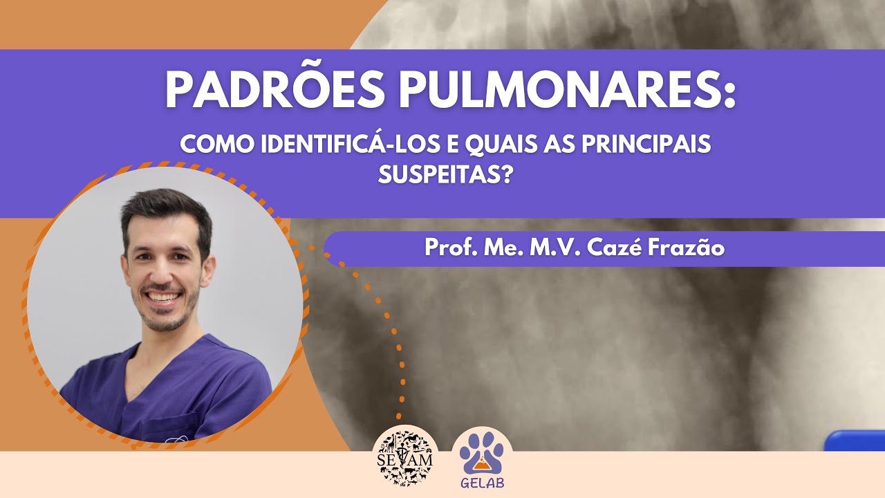 PADRÕES PULMONARES: COMO IDENTIFICÁ-LOS E QUAIS AS PRINCIPAIS SUSPEITAS?