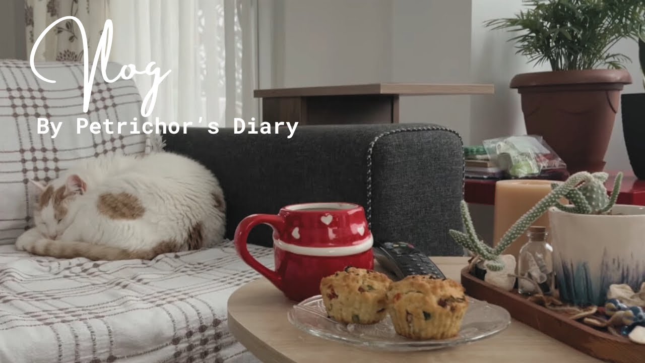 Дневники интроверта / Семена и рассада 🌱 Визит к ветеринару Салсы 🐈 Вкусные кексы на завтрак