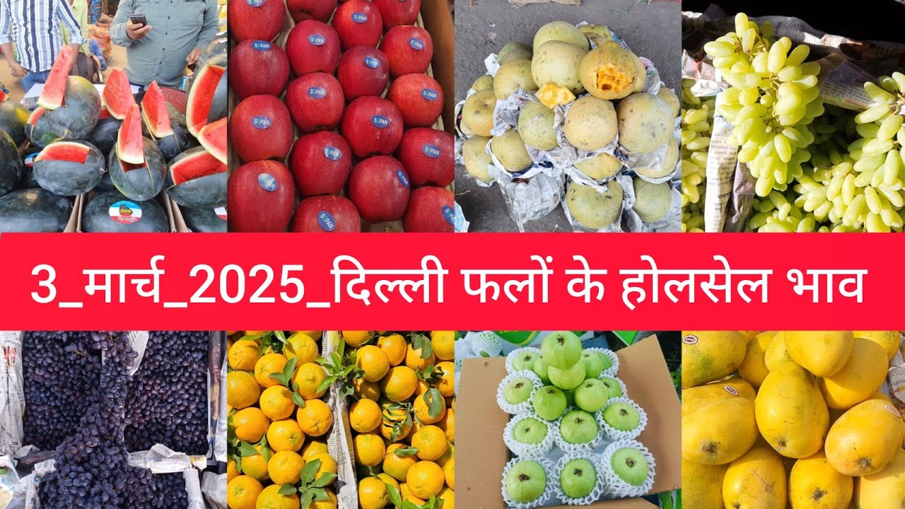 March 3, 2025 दिल्ली फलों के भाव delhi fruit market price APMC delhi fruit market #fruitmarket