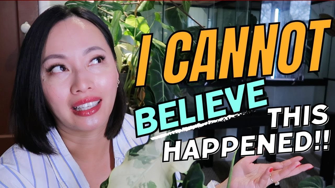 I CANNOT BELIEVE THIS HAPPENED | while I was away in Portugal for 10days!
