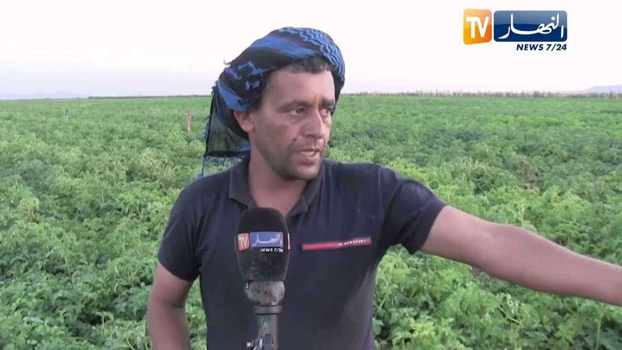 النعامة:  غياب الكهرباء الفلاحية هاجس أمام الفلاحين ببلدية عين بن خليل الحدودية