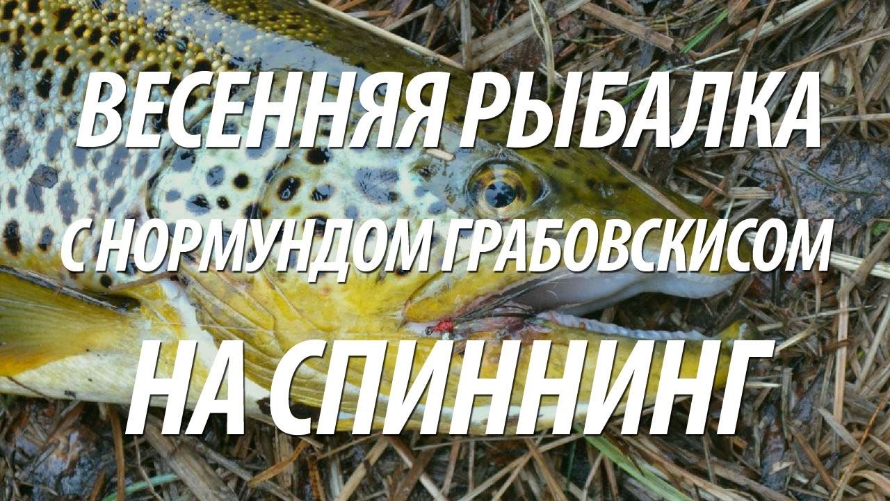 РЫБАЛКА ВЕСНОЙ НА СПИННИНГ С НОРМУНДОМ ГРАБОВСКИСОМ. СПИННИНГОВАЯ ЛОВЛЯ В МАРТЕ ЛОСОСЯ, КУМЖИ