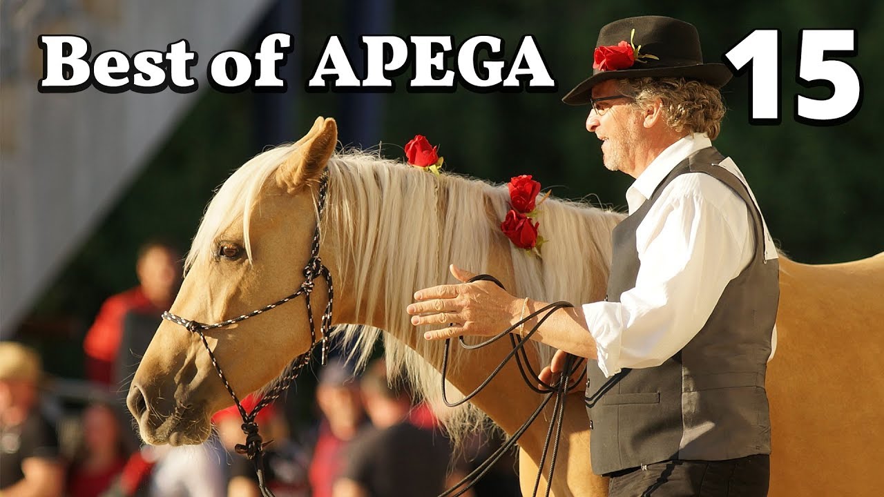 Mustang MakeOver - Best of APEGA