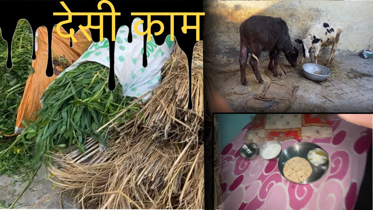 देसी काम करने वाले लोगों की ज़िंदगी
