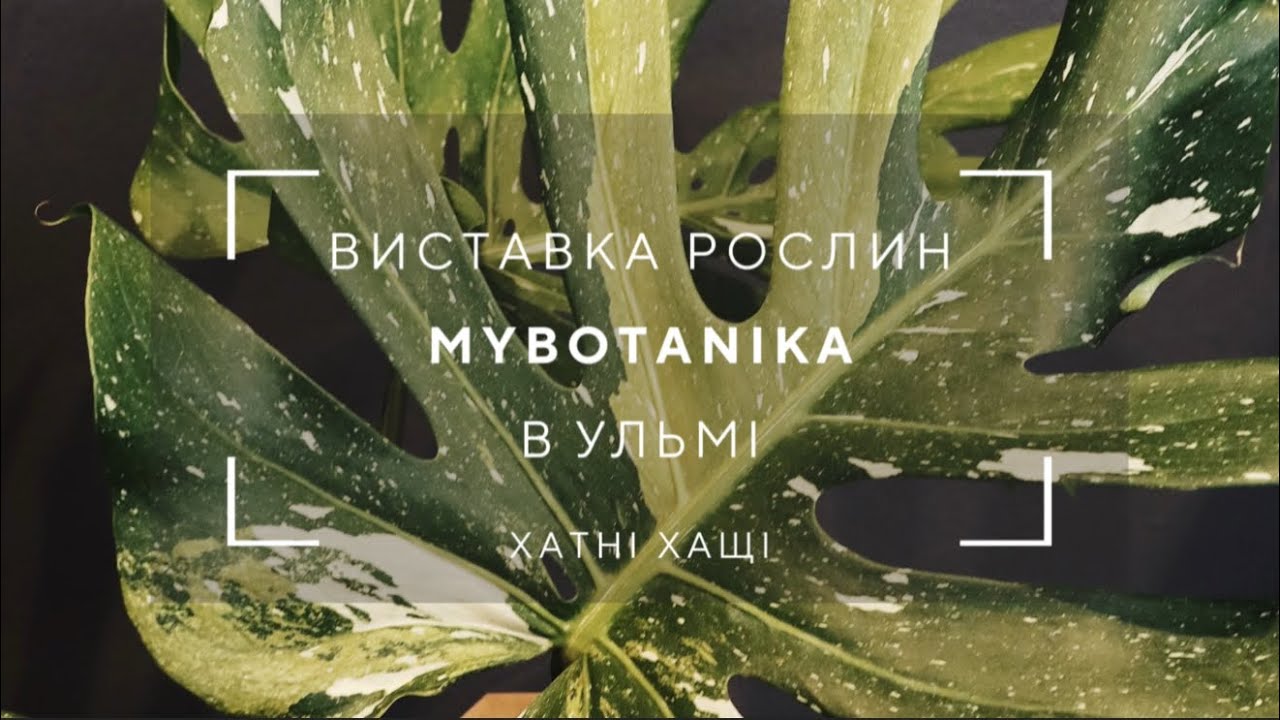 Огляд рослин на виставці MyBotanika в Ульмі 13.09.25
