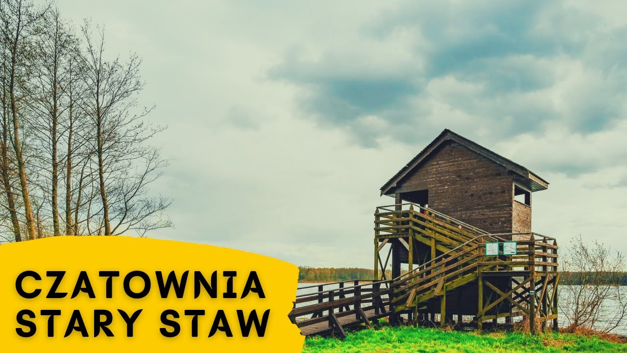 Czatownia Stary Staw, Milicz | WEEKEND JANUSZA