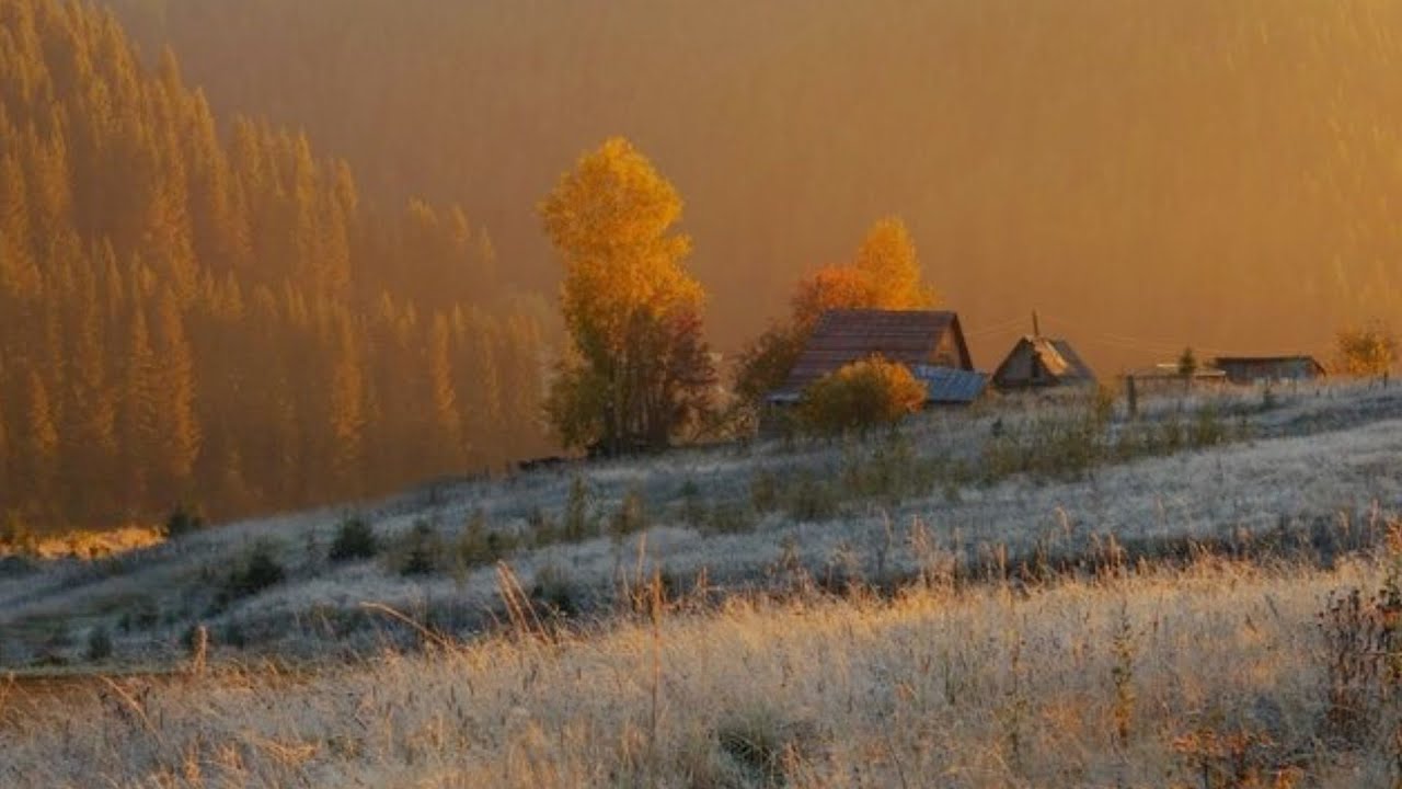 a playlist to romanticize quiet winter days