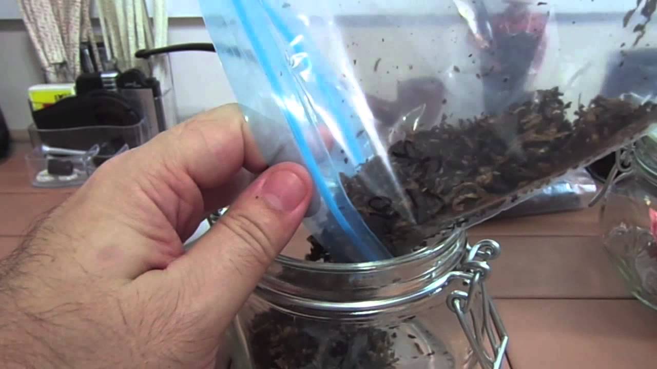 Iniciantes 7: Como Conservar os Tabacos