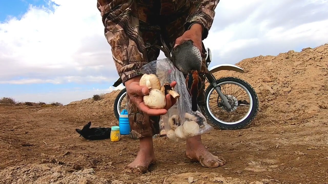 صيد الحذاف لا تنسه Fly or duck hunting الاشتراك دعماً للقناة👍👍😂