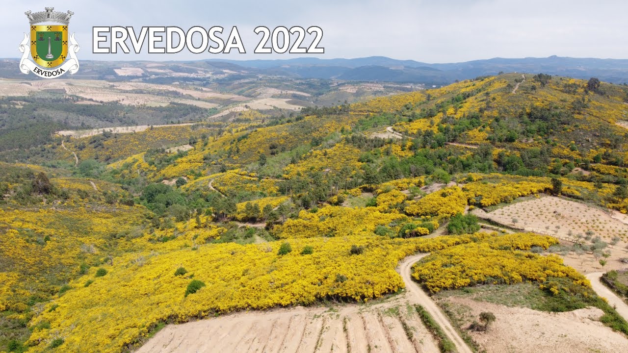 Ervedosa | Bragança | Portugal