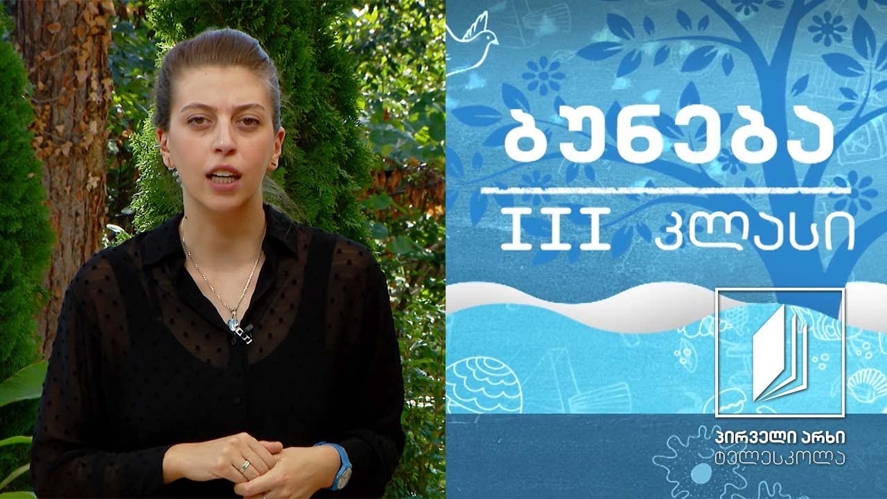 ბუნება, III კლასი - მზის სისტემა - მთვარე #ტელესკოლა